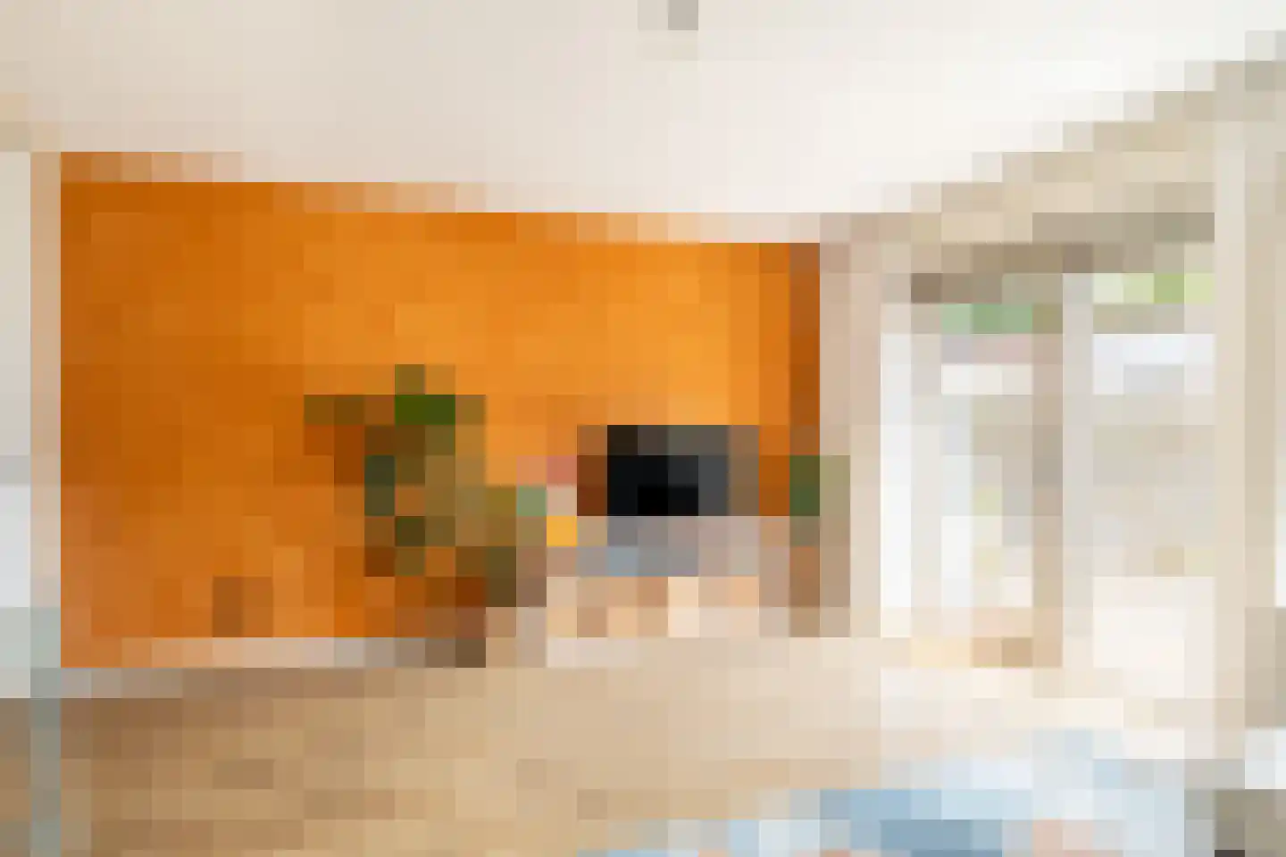 Leiendekkerstraat 75 Zwolle thumbnail 8