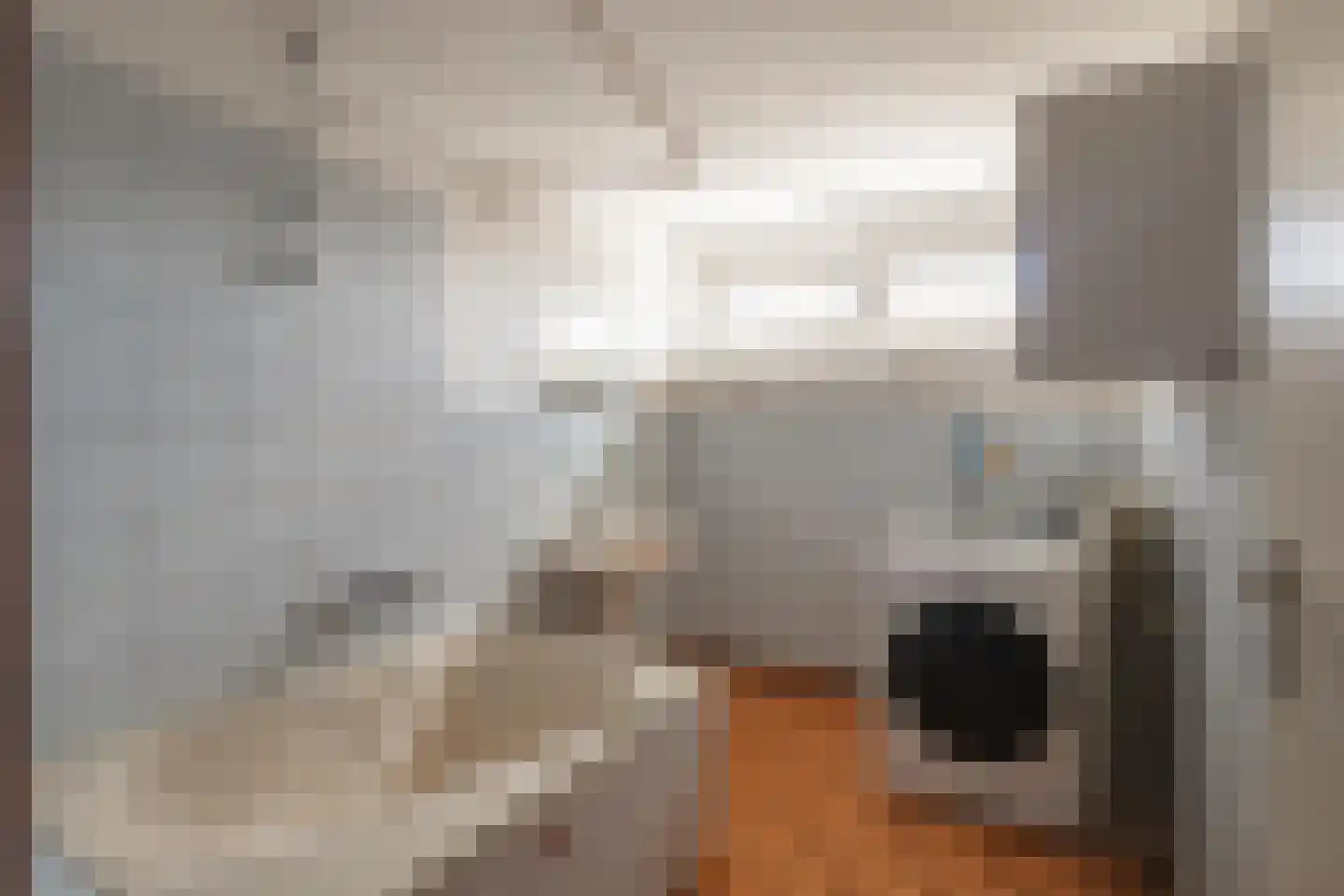 Leienhoesstraat 15 Heerlen thumbnail 14