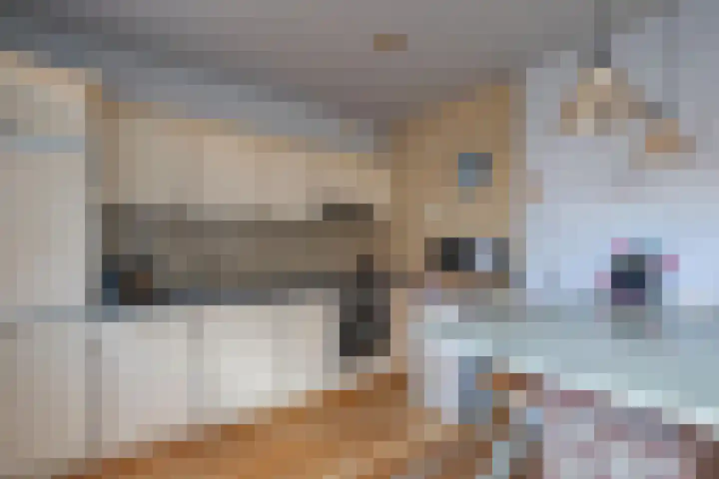 Leienhoesstraat 15 Heerlen thumbnail 4