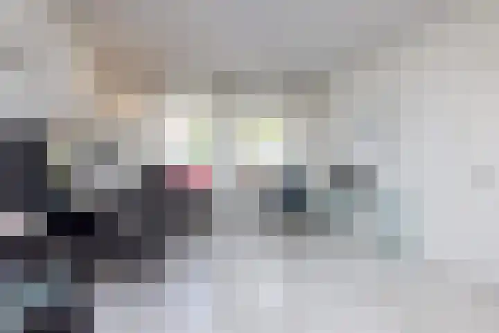 Leienhoesstraat 2 Heerlen thumbnail 15