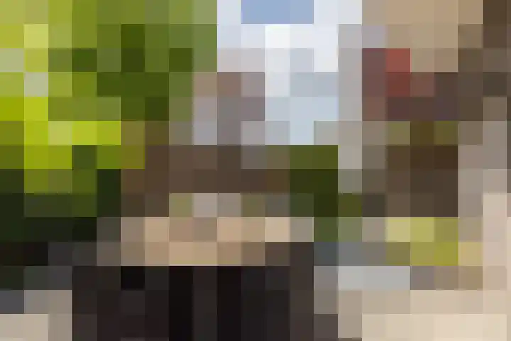 Leienhoesstraat 2 Heerlen thumbnail 27