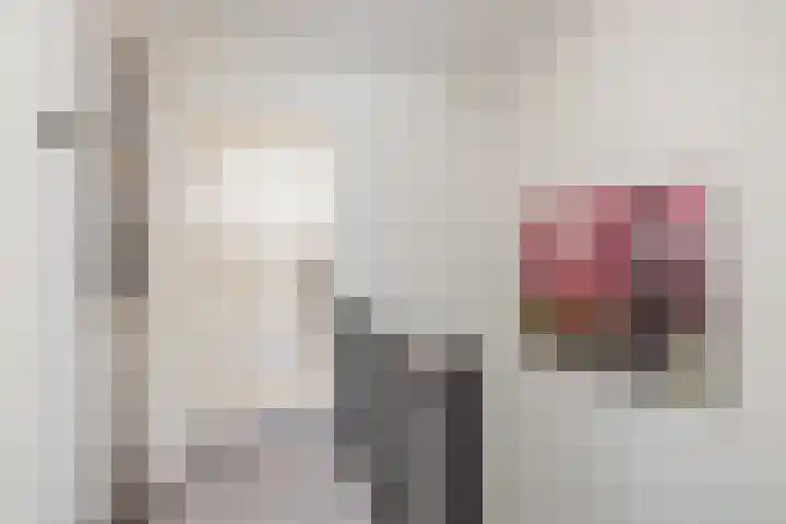 Leienhoesstraat 2 Heerlen thumbnail 29
