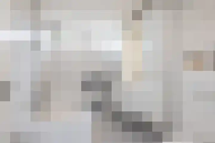 Leienhoesstraat 2 Heerlen thumbnail 30