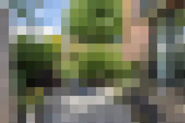 Leienhoesstraat 2 Heerlen thumbnail 34