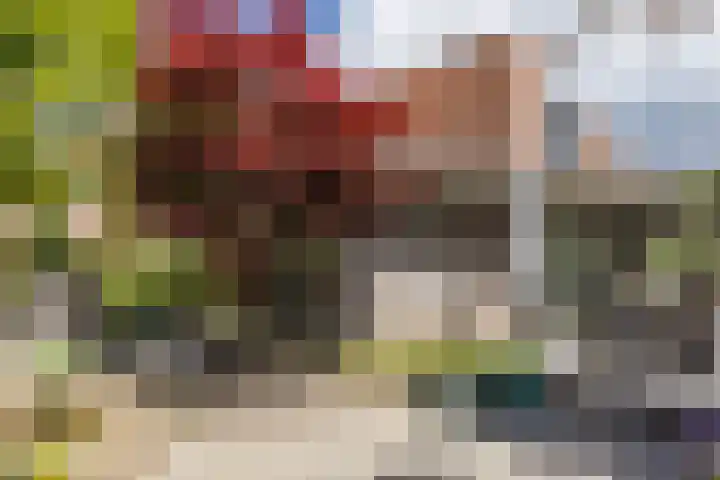 Leienhoesstraat 2 Heerlen thumbnail 37