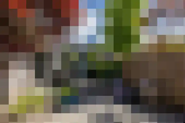 Leienhoesstraat 2 Heerlen thumbnail 38