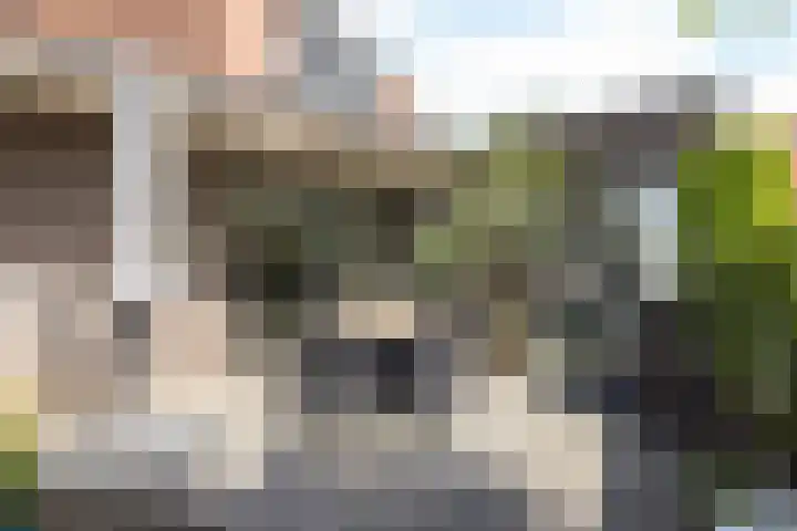 Leienhoesstraat 2 Heerlen thumbnail 40