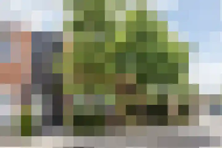 Leienhoesstraat 2 Heerlen thumbnail 41