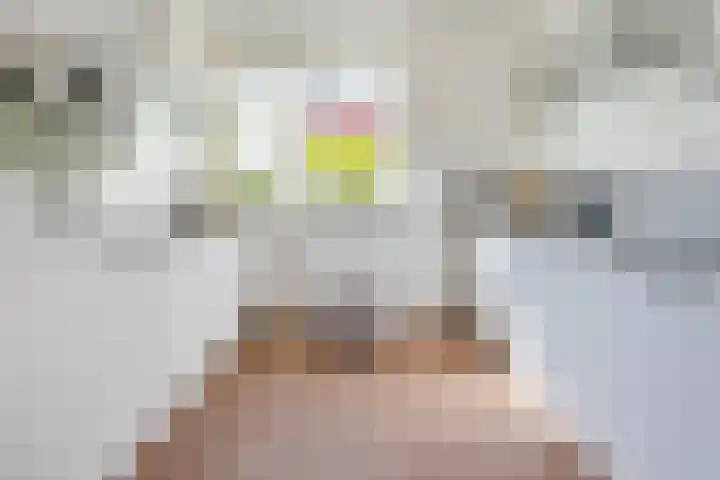 Leif Erikssonstraat 8 Almere thumbnail 10
