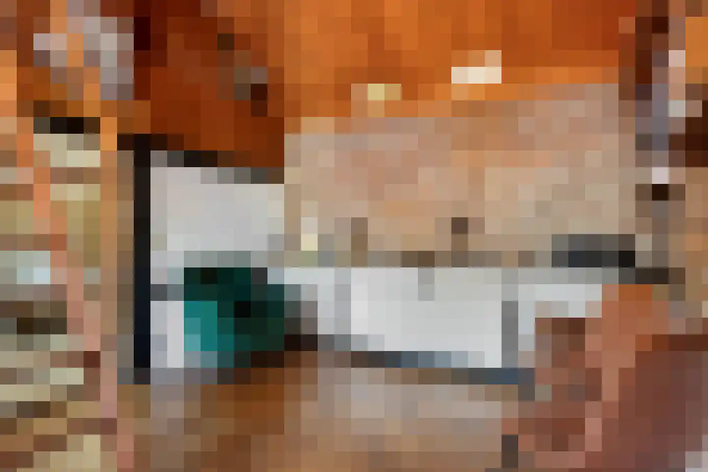 Leiffenderhofweg 30 Schinveld thumbnail 12