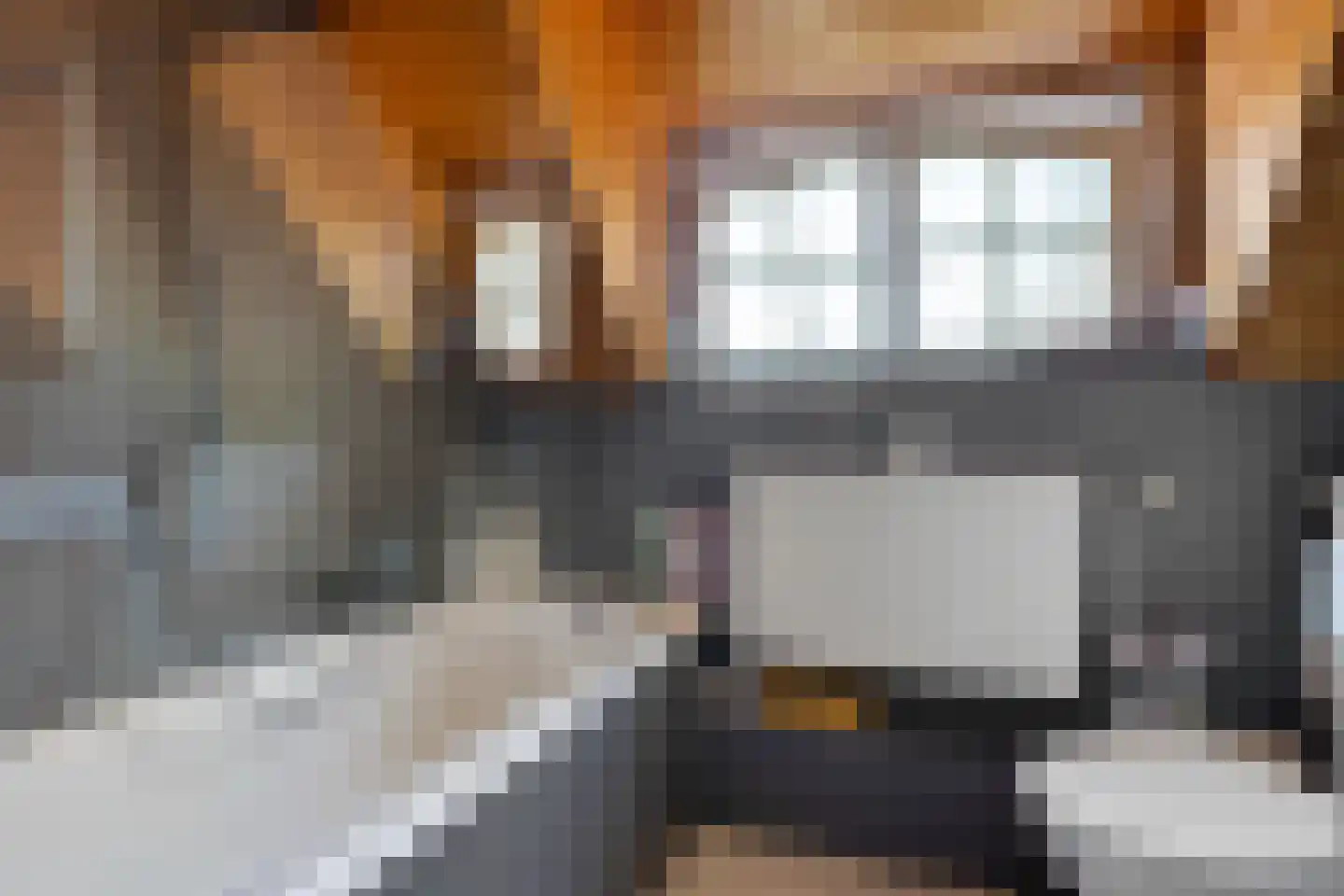 Leiffenderhofweg 30 Schinveld thumbnail 20