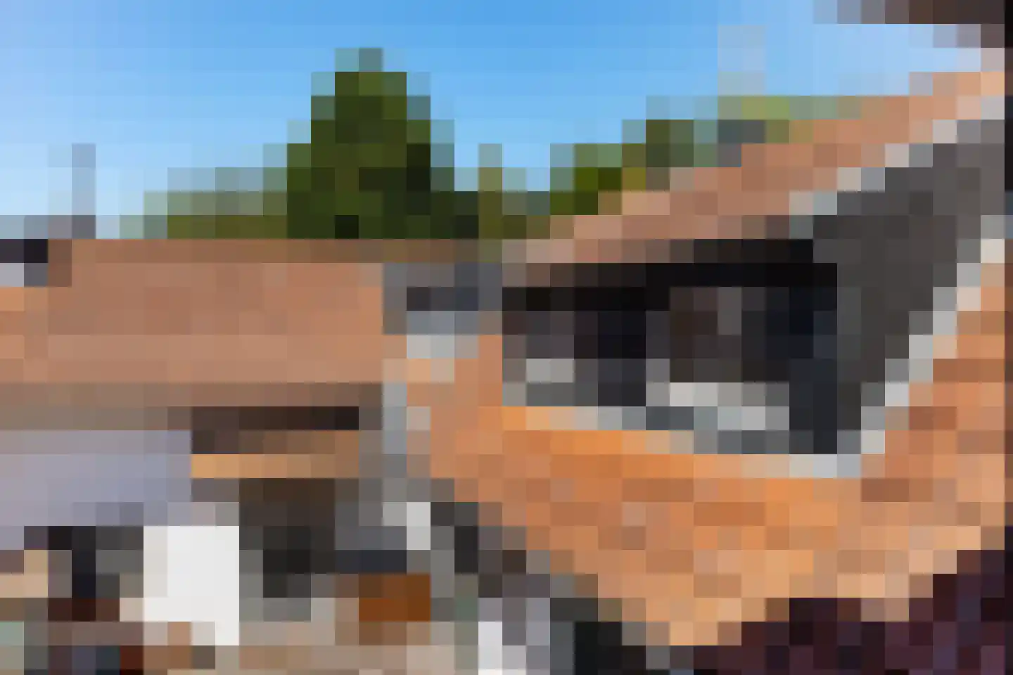 Leiffenderhofweg 30 Schinveld thumbnail 25