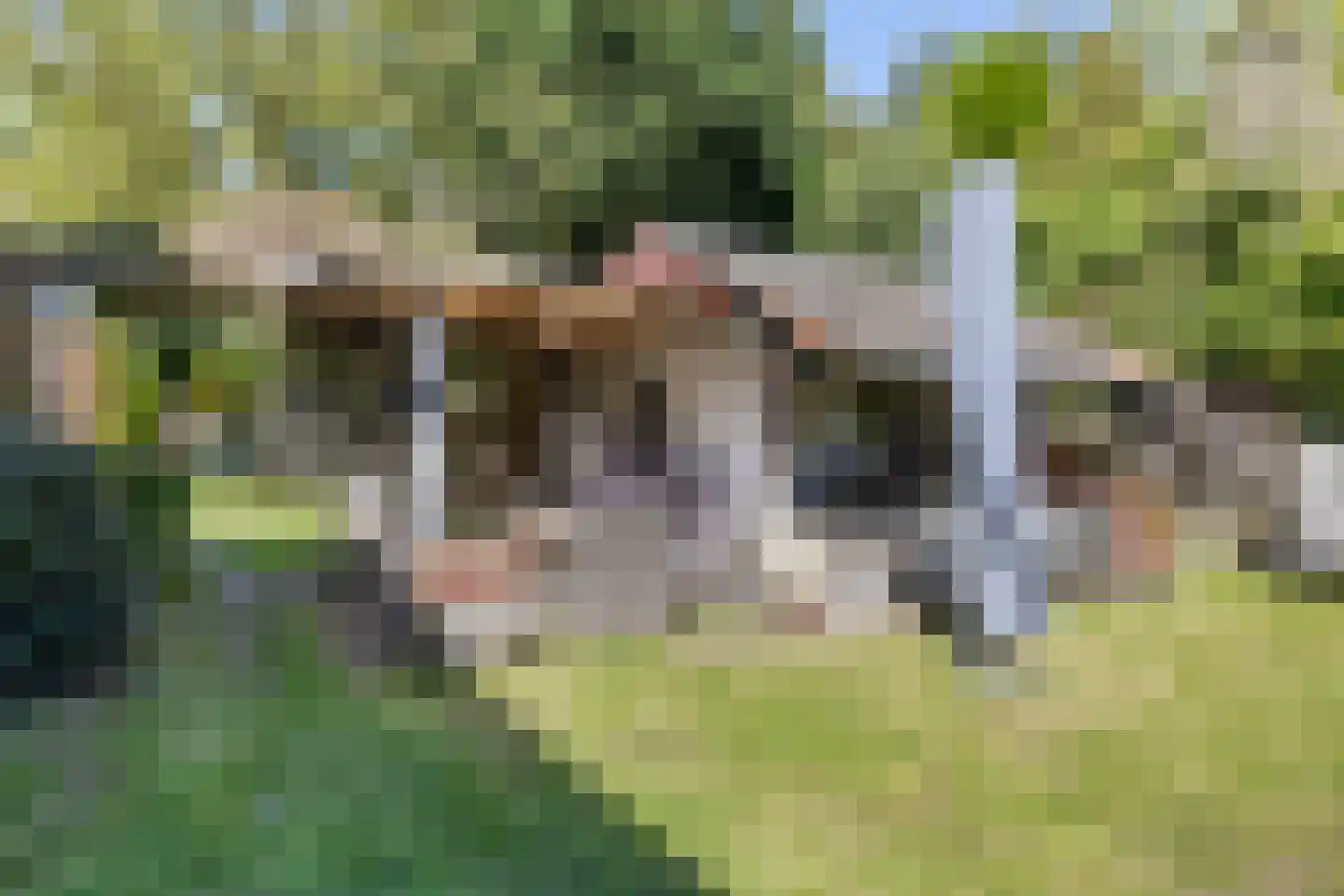 Leiffenderhofweg 30 Schinveld thumbnail 30