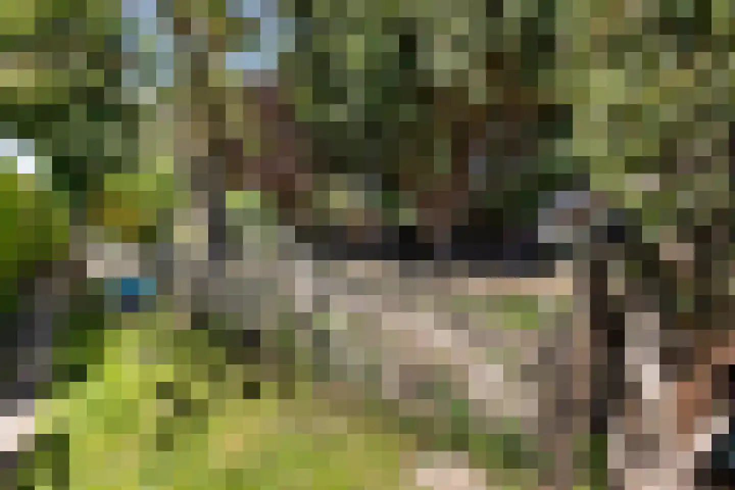 Leiffenderhofweg 30 Schinveld thumbnail 31