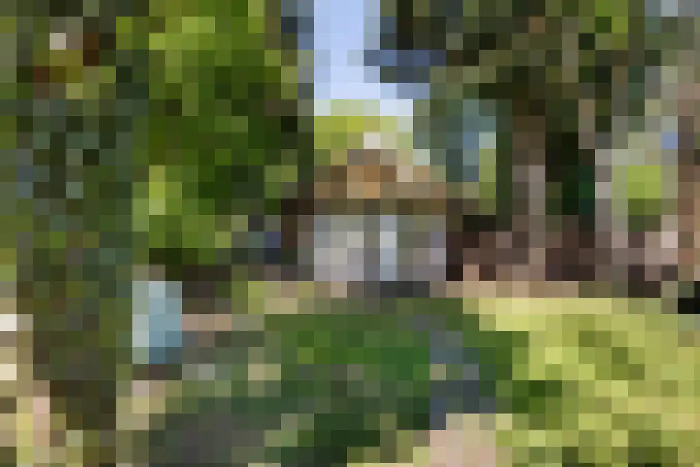 Leiffenderhofweg 30 Schinveld thumbnail 32