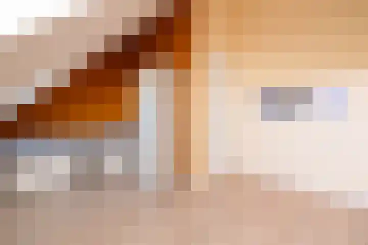 Leifruit 5 Wateringen thumbnail 31