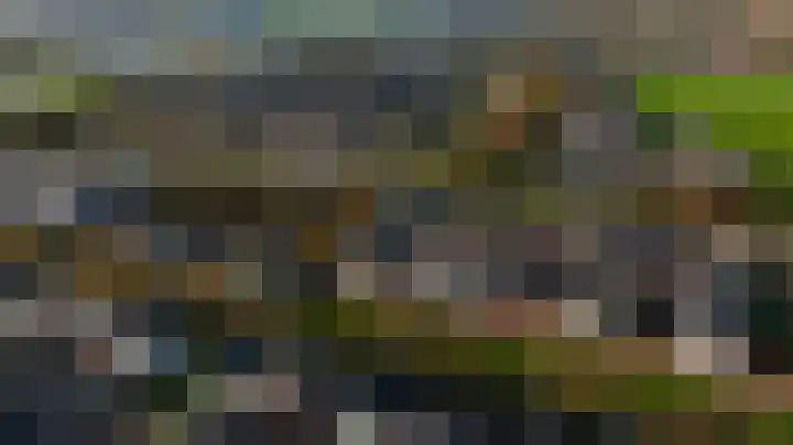 Leifruit 5 Wateringen thumbnail 39