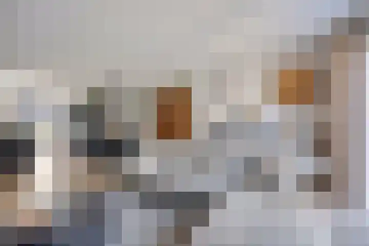Leifruit 9 Wateringen thumbnail 10