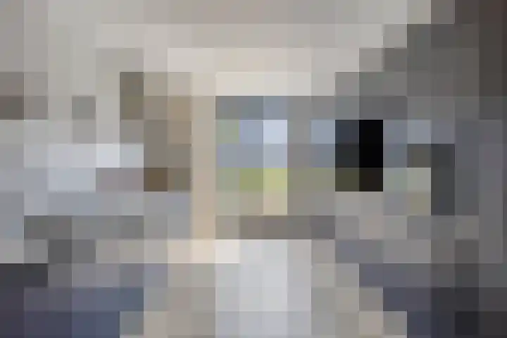 Leifruit 9 Wateringen thumbnail 13