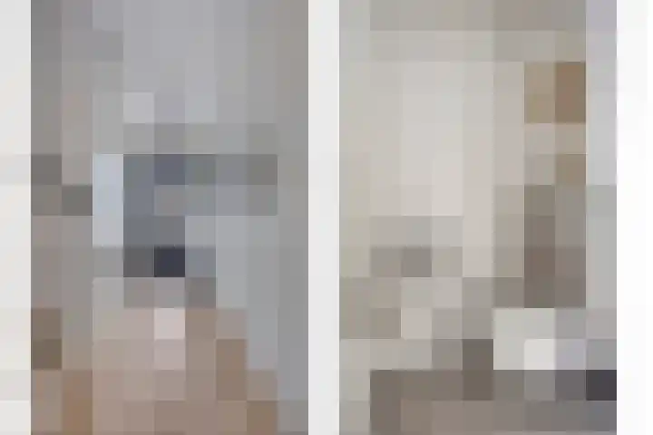Leifruit 9 Wateringen thumbnail 15