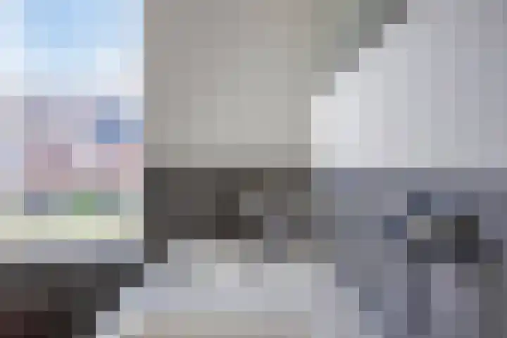 Leifruit 9 Wateringen thumbnail 21