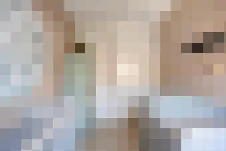 Leifruit 9 Wateringen thumbnail 23