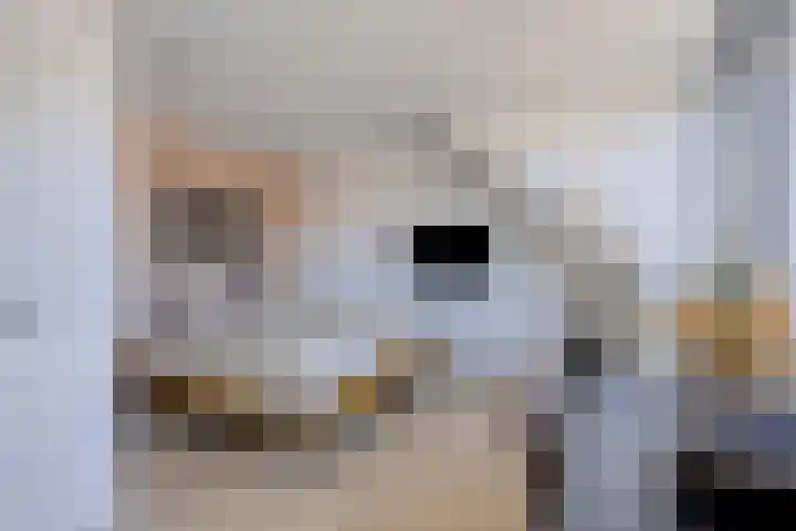 Leifruit 9 Wateringen thumbnail 29