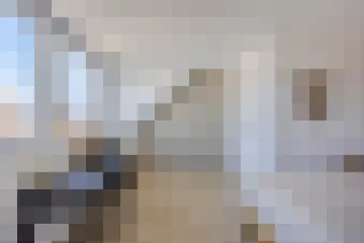 Leifruit 9 Wateringen thumbnail 30