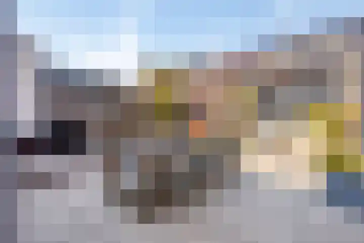 Leifruit 9 Wateringen thumbnail 34