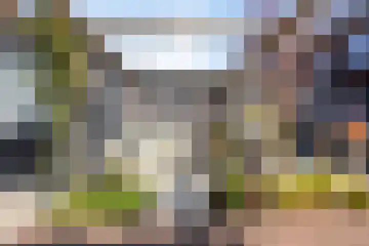 Leifruit 9 Wateringen thumbnail 35