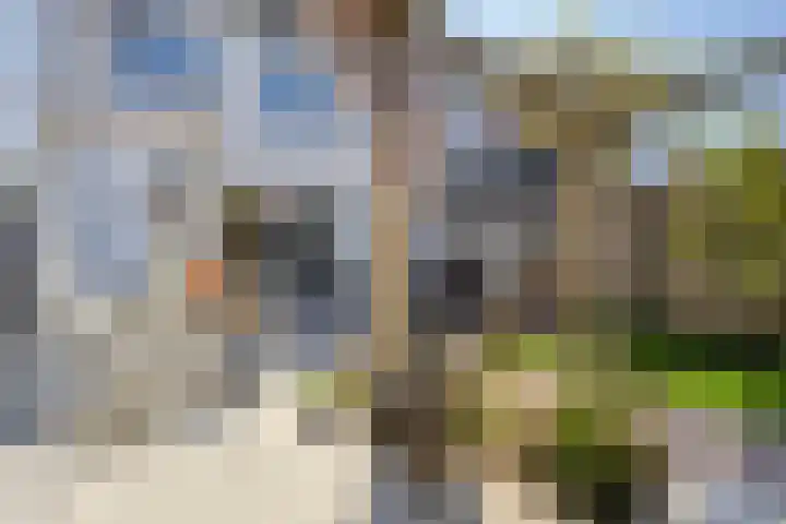 Leifruit 9 Wateringen thumbnail 36