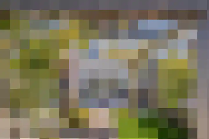 Leifruit 9 Wateringen thumbnail 38