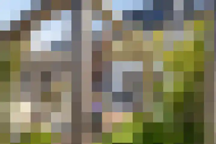 Leifruit 9 Wateringen thumbnail 39