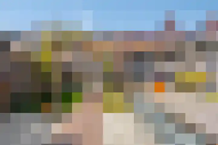 Leifruit 9 Wateringen thumbnail 4