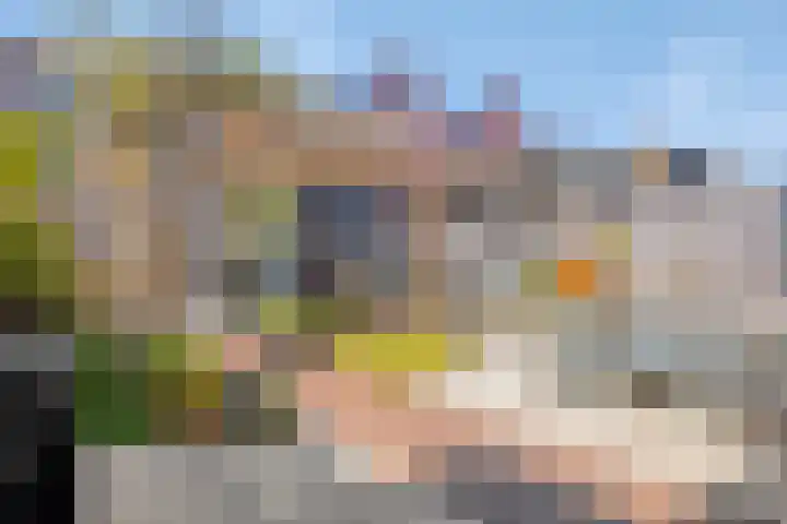 Leifruit 9 Wateringen thumbnail 41