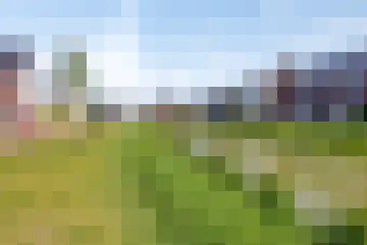 Leifruit 9 Wateringen thumbnail 44