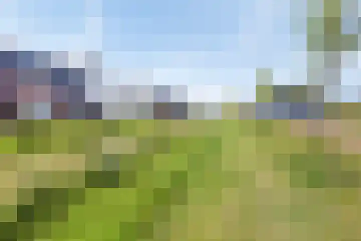 Leifruit 9 Wateringen thumbnail 45