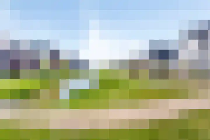 Leifruit 9 Wateringen thumbnail 46