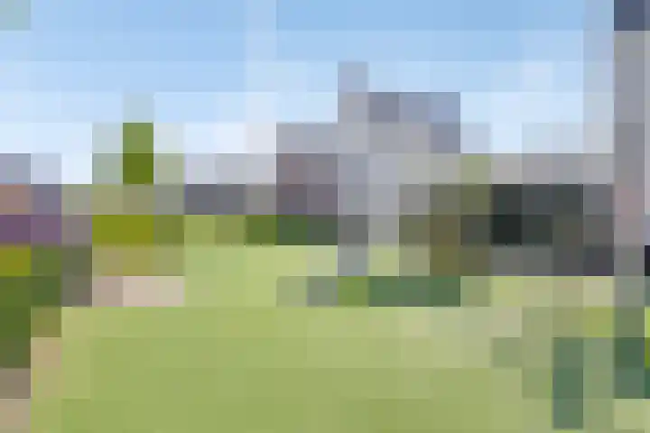 Leifruit 9 Wateringen thumbnail 47