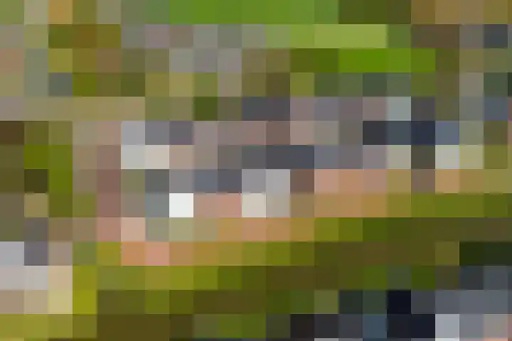 Leifruit 9 Wateringen thumbnail 5
