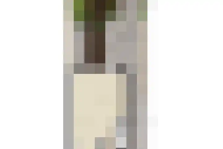 Leifruit 9 Wateringen thumbnail 56