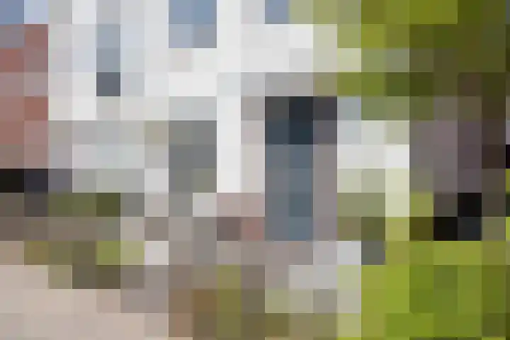 Leifruit 9 Wateringen thumbnail 6