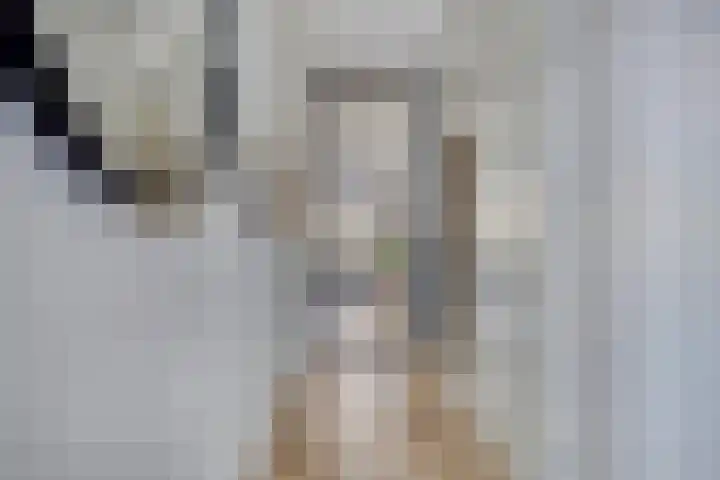 Leifruit 9 Wateringen thumbnail 7