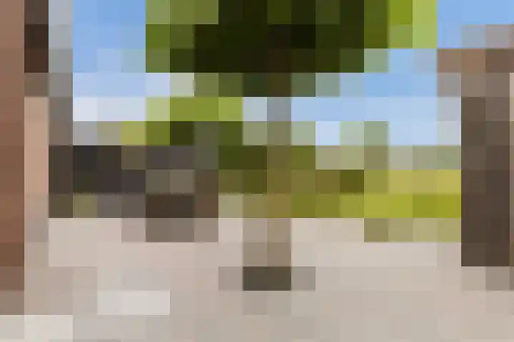 Leigraaf 14 E Klarenbeek thumbnail 16
