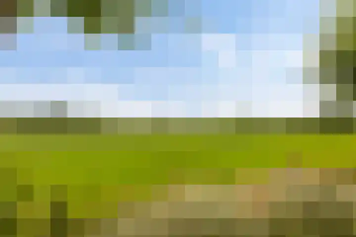 Leigraaf 14 E Klarenbeek thumbnail 20