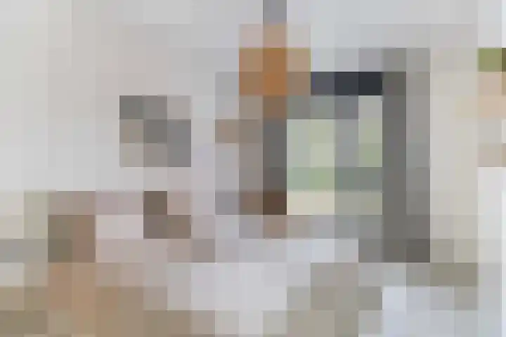 Leigraaf 14 E Klarenbeek thumbnail 33