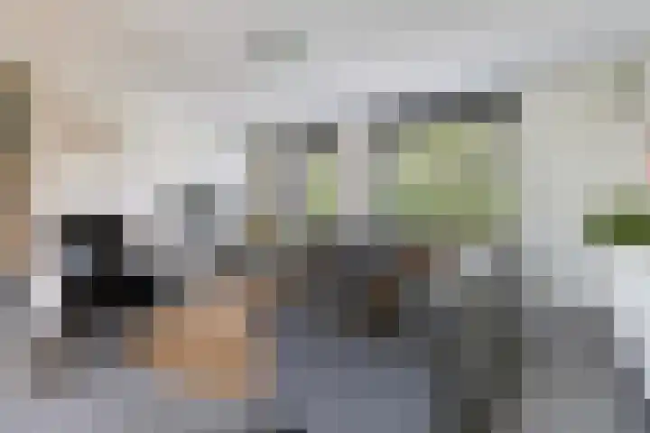 Leigraaf 14 E Klarenbeek thumbnail 8