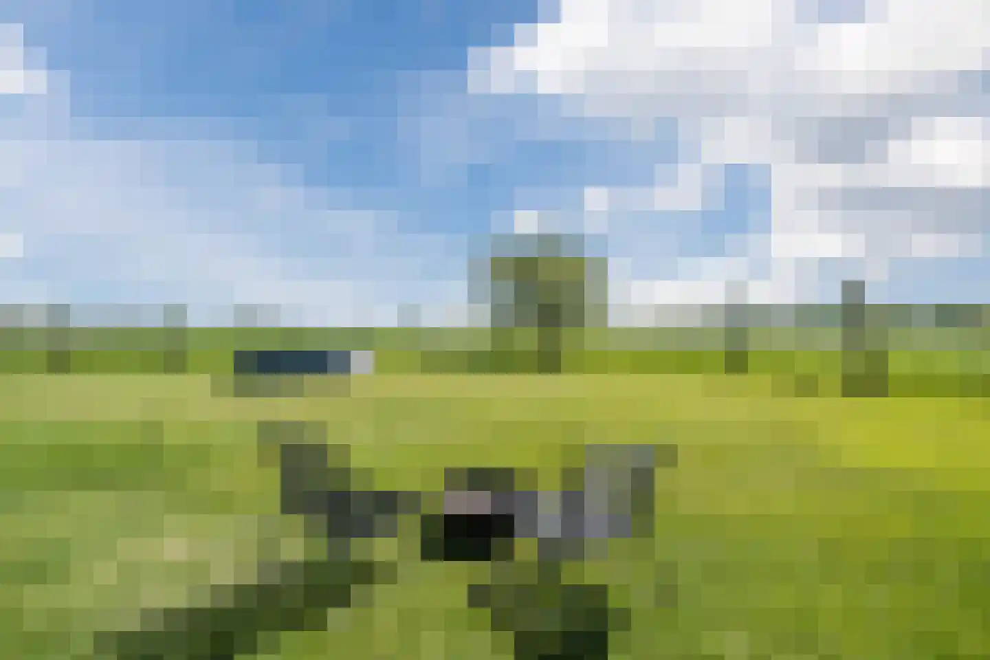 Leigraaf 14 G Klarenbeek thumbnail 39