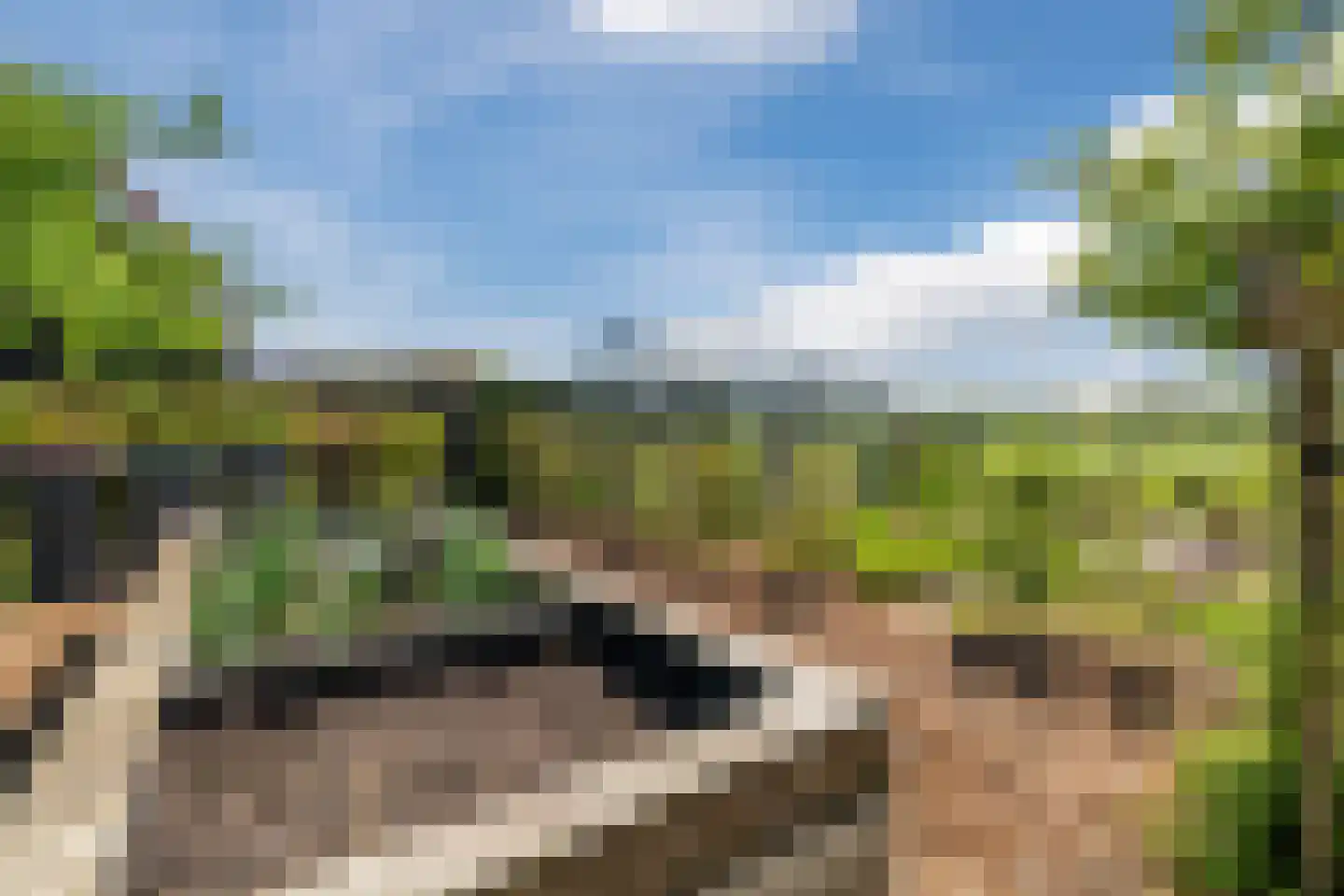 Leigraaf 14 G Klarenbeek thumbnail 41