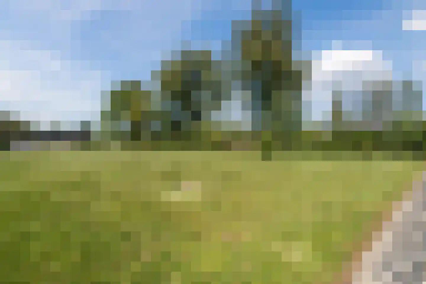 Leigraaf 14 G Klarenbeek thumbnail 43